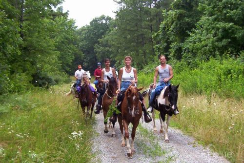 HORSE RIDING