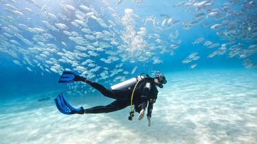 Diving
